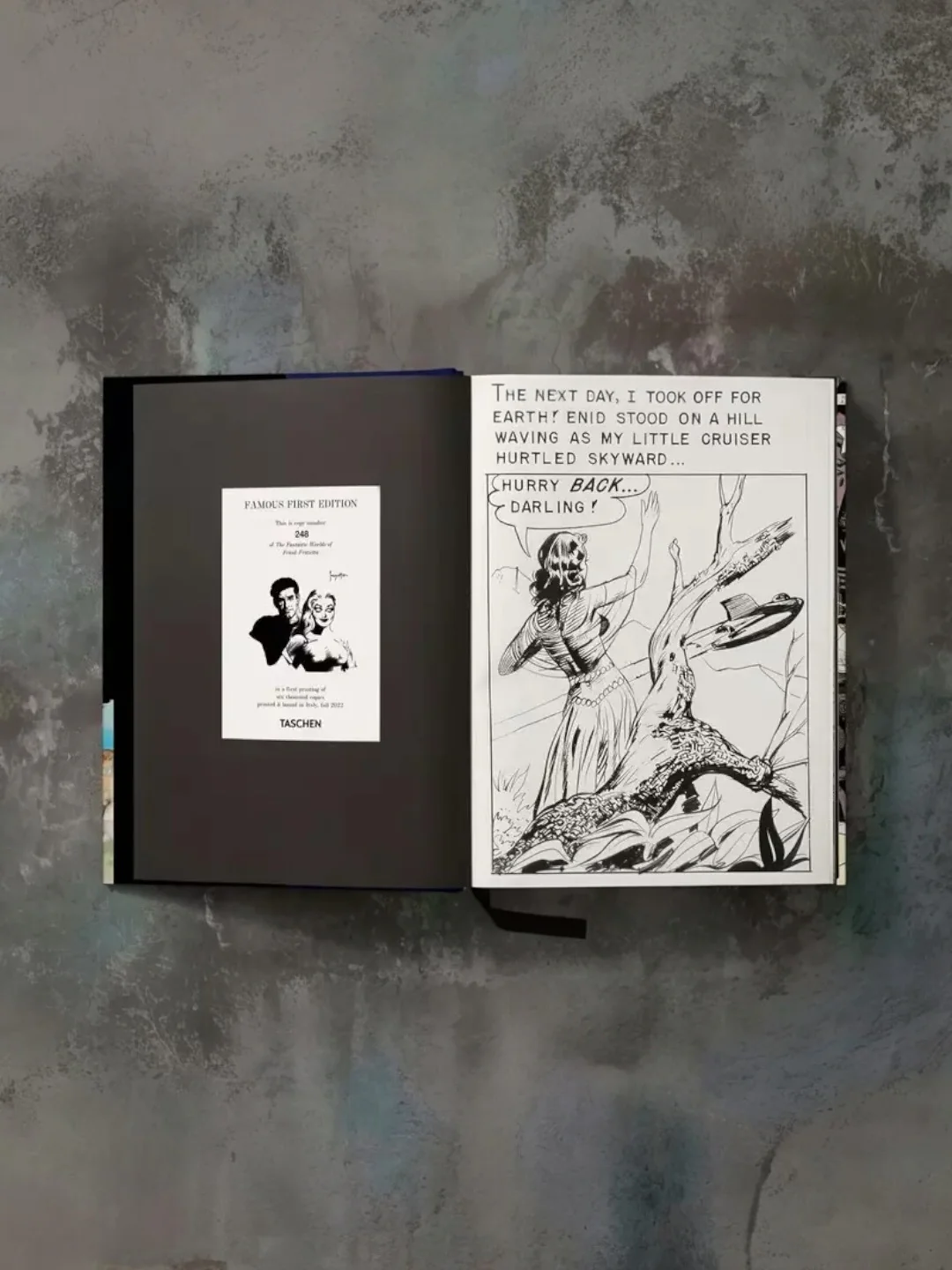 TASCHEN: The Fantastic Worlds of Frank Frazetta (XXL) First Edition - Image 6